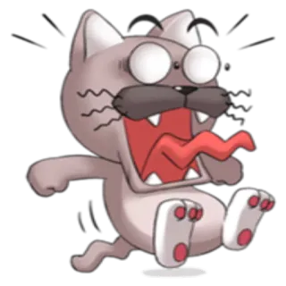 😱 猫, 動物, 漫画, 面白い, ステッカー, クレイジー, 表情 telegram sticker