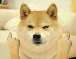 🖕 doge, hond, middelvinger, aanstootgevend telegram sticker