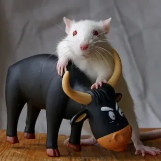 🐭 chuột, bò đực, động vật, đồ chơi, động vật có vú telegram sticker