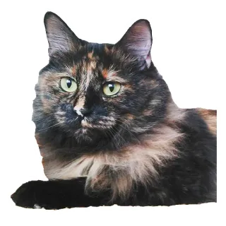 🤔 kot, szylkretowy, zwierzę, domowy, zwierzę domowe, ssak telegram sticker