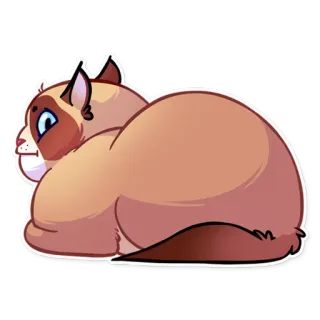 😐 gato, animal, animal de estimação, fofo, desenho animado, adesivo, ilustração whatsapp sticker