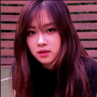 🤨 Rose Rosa, K-pop, Cantora, Idol, Blackpink, Kpop, Rosé whatsapp sticker