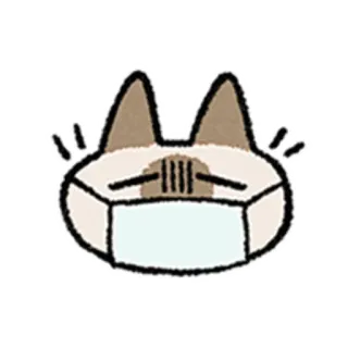 😺 gato, máscara, covid, pandemia, animal, fofo, kawaii telegram sticker