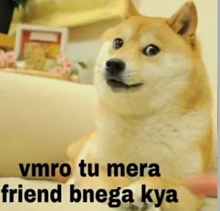🤔 Doge Doge Meme vmro tu mera friend bnega kya telegram sticker