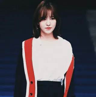 🧷 Wendy wendy, kpop, red velvet, chanteuse, cardigan, femme, portrait telegram sticker