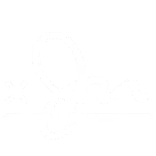 ✍