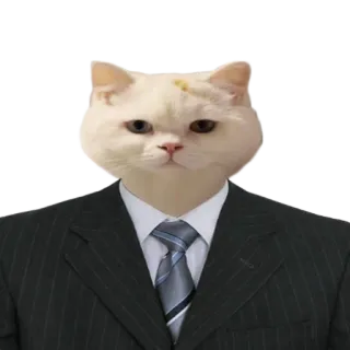 👨‍⚖️ 고양이, 정장, 사업가, 동물, 웃긴, 밈 telegram sticker