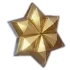 🌟
