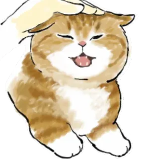 😌 gato, mascota, animal doméstico, mano, acariciando, feliz, lindo whatsapp sticker