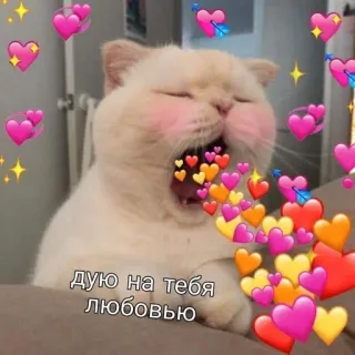 🩹 дую на тебя любовью Katze, Herzen, Liebe, süß, Küsschen whatsapp sticker