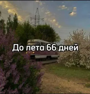 ☀️ До лета 66 дней tranvía, verano, viajes, días telegram sticker