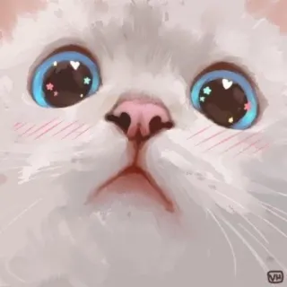 🌟 gato, lindo, animal, mascota, esponjoso, kawaii telegram sticker