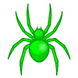 🕷 spider, green, insect, arachnid, animal, nature telegram sticker