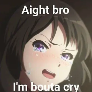 😭 Aight bro
I'm bouta cry Anime, Weinend, Traurig, Meme, Emotional telegram sticker
