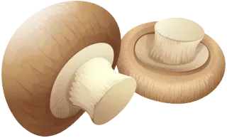 🍄 seta, comida, cocina, ingrediente, marrón, verdura telegram sticker