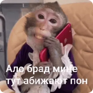 📞 Ало брад мине тут абижают пон telegram sticker