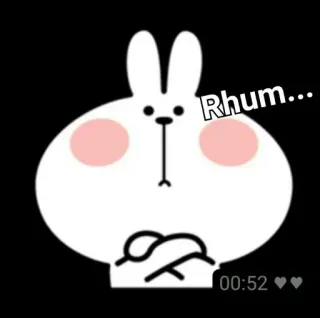 🤨 Rhum... conejo, lindo, animal, dibujos animados, pegatina telegram sticker
