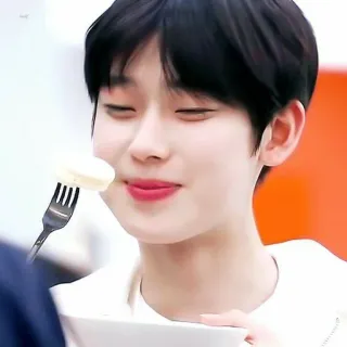 🍚 telegram sticker