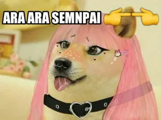 😳 ARA ARA SEMNPAI doge, ara ara, senpai, mem, pies, różowe włosy, słodki, anime telegram sticker