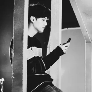 🖇 persona, ragazzo, coreano, asiatico, maglione, telefono, interno telegram sticker