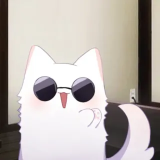 🐈 Katze, Tier, Sonnenbrille, cool, Cartoon, süß telegram sticker