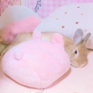 🐰 rabbit, bunny, pet, animal, cute, plushie, domestic animal whatsapp sticker