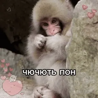 Больше стиков тут: @stikery4 telegram stickers