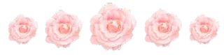 🌸 flower, pink, rose, floral, bouquet, watercolor telegram sticker