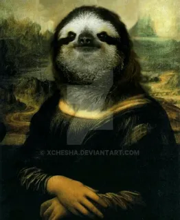 Sloth @loladrianlol whatsapp stickers