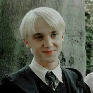 🐍 Draco Malfoy Harry Potter mago, magia, escuela, Slytherin telegram sticker