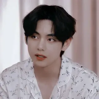 🤎 V kpop, bts, piosenkarz, idol, celebryta, muzyka whatsapp sticker