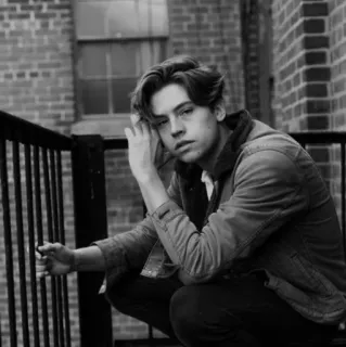 🌪 Cole Sprouse мужчина, актер, портрет, знаменитость, молодой взрослый, человек, модель telegram sticker