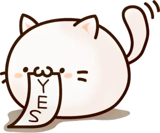 ✅ YES kucing, ya, persetujuan, imut, hewan, positif telegram sticker