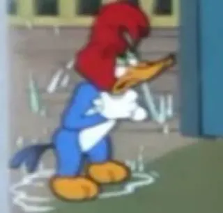 💦 Woody Woodpecker การ์ตูน, วู้ดดี้ วู้ดเพ็คเกอร์, ตัวละคร, นก, ตลก, แอนิเมชัน telegram sticker