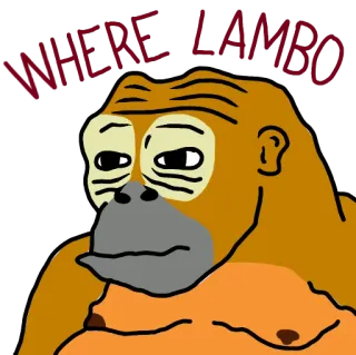 🦧 WHERE LAMBO meme, scimmia, lambo, auto, divertente, animale, crypto telegram sticker