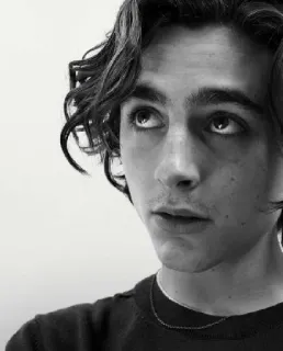 🦇 Timothée Chalamet actor, retrato, celebridad, blanco y negro telegram sticker