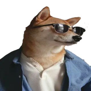 Doge Chad whatsapp stickers