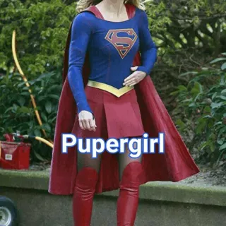 🧚‍♀ Supergirl Pupergirl supergirl, pupergirl, costume, supereroe, dc comics, cosplay whatsapp sticker
