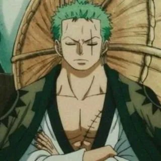 💚 Zoro One Piece Anime, One Piece, Zorro, Roronoa Zorro, Schwertkämpfer, Grüne Haare telegram sticker