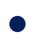 🔹
