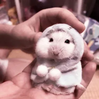 🤏 hamster, cute, animal, pet, rodent, costume telegram sticker