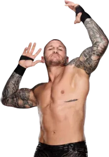 🤷‍♂️ Randy Orton рестлер, WWE, спортсмен, спорт, Рэнди Ортон, RKO whatsapp sticker