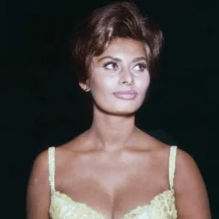 ➿ Sophia Loren atriz, italiana, celebridade, mulher, retrato telegram sticker