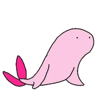 💬 foca, rosa, animal, fofo telegram sticker