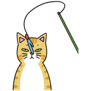 🐈 cat, sticker, animal, pet, orange tabby, laser pointer telegram sticker