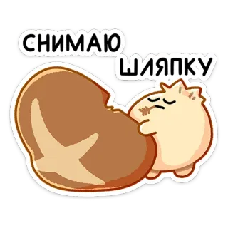 👒 СНИМАЮ ШЛЯПКУ hongo, sombrero, quitándose, lindo, animal telegram sticker