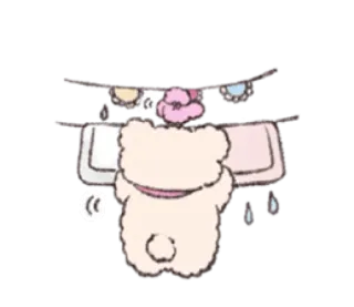🎀 whatsapp sticker