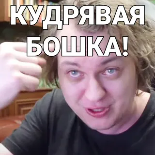🤐 КУДРЯВАЯ БОШКА! Person, Porträt, Russisch, Meme telegram sticker