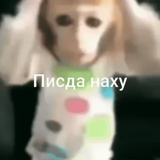 😳 Пизда наху monkey, offensive, russian, meme, animal telegram sticker