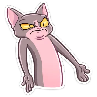 😳 Katze, grummelig, Meme, Sticker whatsapp sticker